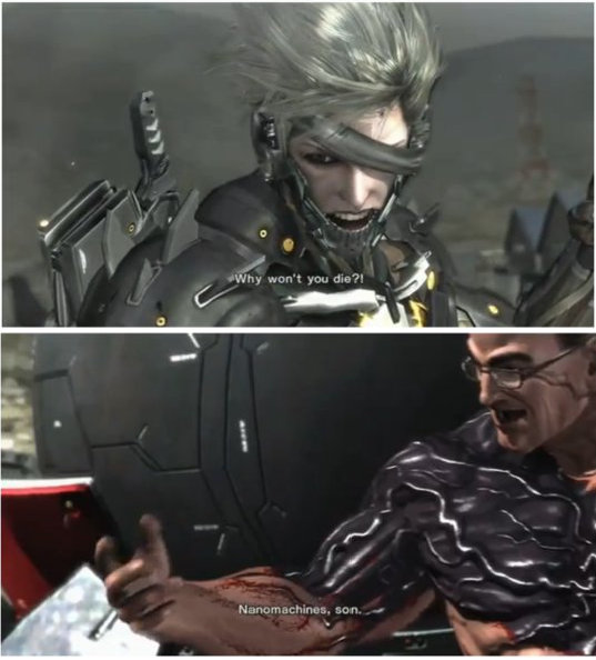 Raiden Why won't You Die Blank Template